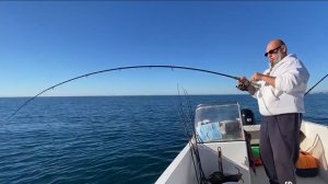 Рекорд побит, гигантский скат 13 кг, трофейная рыбалка на Чёрном море 20.12.2025г.