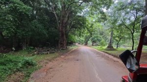 ШриЛанка 2025 часть 1