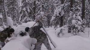 Проверка путика # 1