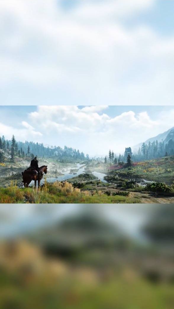 The Witcher 3: Wild Hunt #shorts #игры #видеоигры смотреть онлайн