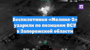 Беспилотники «Молния-2» ударили по позициям ВСУ в Запорожской области