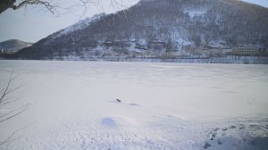 НОВОГОДНЕЕ ЧУДО БЛИЗКО