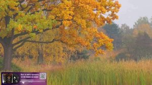 Вот и лето прошло