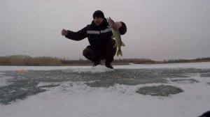 Рыбалка на жерлицы в Ростовской области 2025 открытие сезона по льду