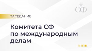 Заседание Комитета Совета Федерации по международным делам
