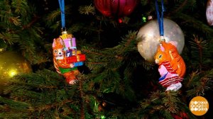 Кто поймает четвертую белку? Доброе утро. Фрагмент выпуска от 22.12.2025