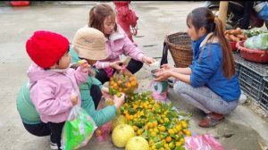 Дуонг собирает мандарины и грейпфрут для продажи на рынке.