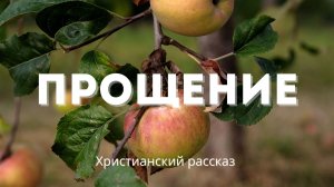 Прощение | Назидательный христианский рассказ