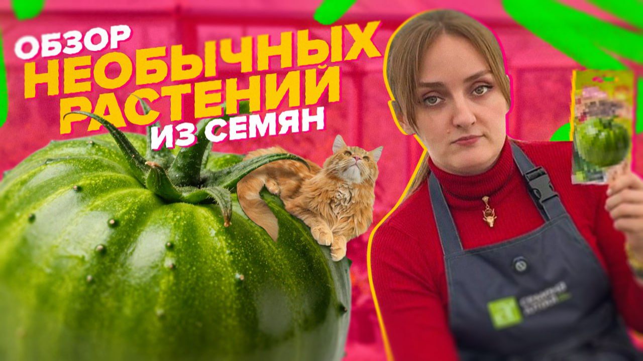 ОБЗОР НЕОБЫЧНЫХ КУЛЬТУР смотреть онлайн