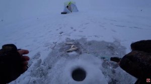 Северный КЗ.Озеро Большой Тарангул,2025г с 19 по 20 декабря,рыбалка на жерлицы,балансир и мормышки.