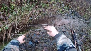 Охота на бобра. Поймал на вылазе (Будни охотника и рыбака)