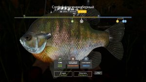 Русская рыбалка 4. Новогодние задания. На канале 50 подписчиков. + трофик