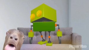 Бокси и коза