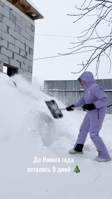 Доброе снежное утро #зима #снег #2025 смотреть онлайн