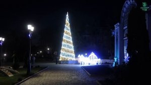 В предчувствии Нового года.