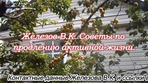 Железов В.К. Советы по продлению активной жизни.