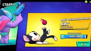 Аааааа кииииит!!!!!