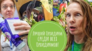 Суета Зимнего Орхидиума 2025. Выигрываем лотереи, культурно шокируемся от людей, орхидей и неорхидей