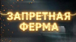 Арена Брейкаут/Arena Breakout