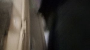 как мы играем в прятки