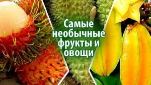 Необычные фрукты. Музыкальная открытка.