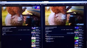 «Овечий патруль: Битва форматов — SDR против HDR»