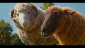 Овечьи Детективы - Русский трейлер (Субтитры, 2026) Хью Джекман