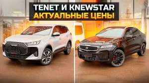 TENET T7 и KNEWSTAR 001 актуальные цены