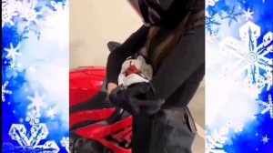 ❄ОДИН РАЗ В ГОД❄