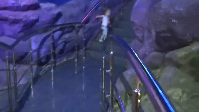 Влог Океанариум Настя первый раз увидела АКУЛУ