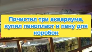 Почистил три аквариума, купил пенопласт и пену для коробок