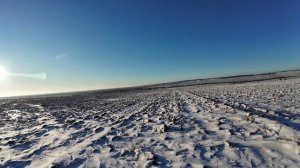 Два хитрых зайчика смогли меня обмануть