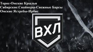 Торос-Омские Крылья, Сиб. Снайперы-Снежные Барсы, Омские Ястребы-Ирбис прогнозы на хоккей 22.12.25