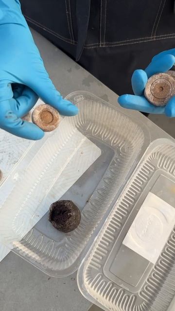 КАКИЕ ТОРФЯНЫЕ ТАБЛЕТКИ ПОКУПАТЬ смотреть онлайн