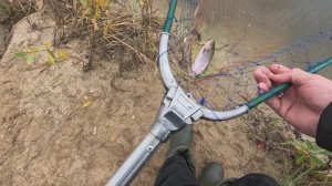 РЫБАЛКА В МАРОЧКОВО НА ФОРЕЛЬ! КЛЮЁТ НА КАЖДОМ ЗАБРОСЕ! ПРЕКРАСНЫЙ ОТДЫХ ДЛЯ ВСЕЙ СЕМЬИ!