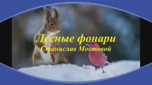 Лесные фонари