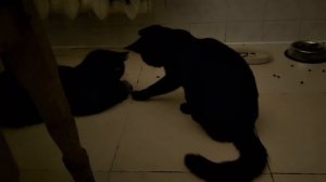 УЧИМСЯ ОХОТЕ