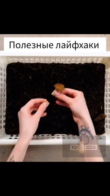 Подборка полезных лайфхаков смотреть онлайн