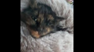 СРОЧНЫЕ НОВОСТИ!