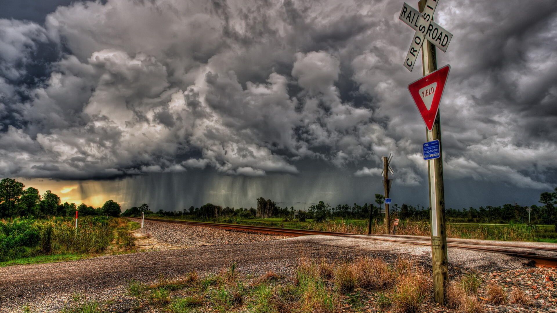 napalm-death-breed-to-breathe