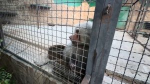 Люська ИСТЕРИТ, мы все на нервах, а Влад просто взял кофе, ищет раскладушку и хочет не ночь остаться