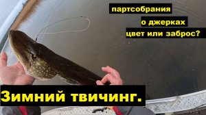 Особенности зимнего твичинга. Цвет или заброс. Концентрация щуки. О джерках.
