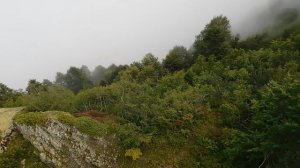 ВИДЕО  ПВН  ББ   (1705)