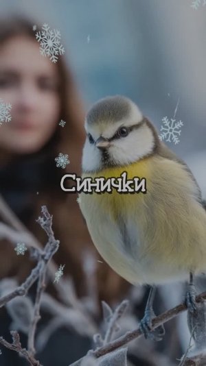Синички