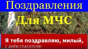 Поздравления с Днём спасателя МЧС Я тебя поздравляю милый с Днем спасателя!