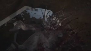 Resident Evil Village; Out of control