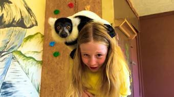 Лайк Настя, 2 сезон, 222 серия смотреть онлайн