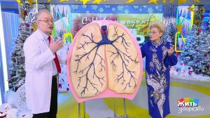 Анафилактический шок: когда аллергия смертельно опасна? Жить здорово! Фрагмент выпуска от 22.12.2025