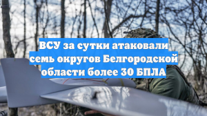 ВСУ за сутки атаковали семь округов Белгородской области более 30 БПЛА