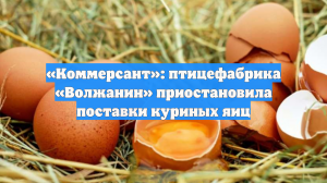 «Коммерсант»: птицефабрика «Волжанин» приостановила поставки куриных яиц